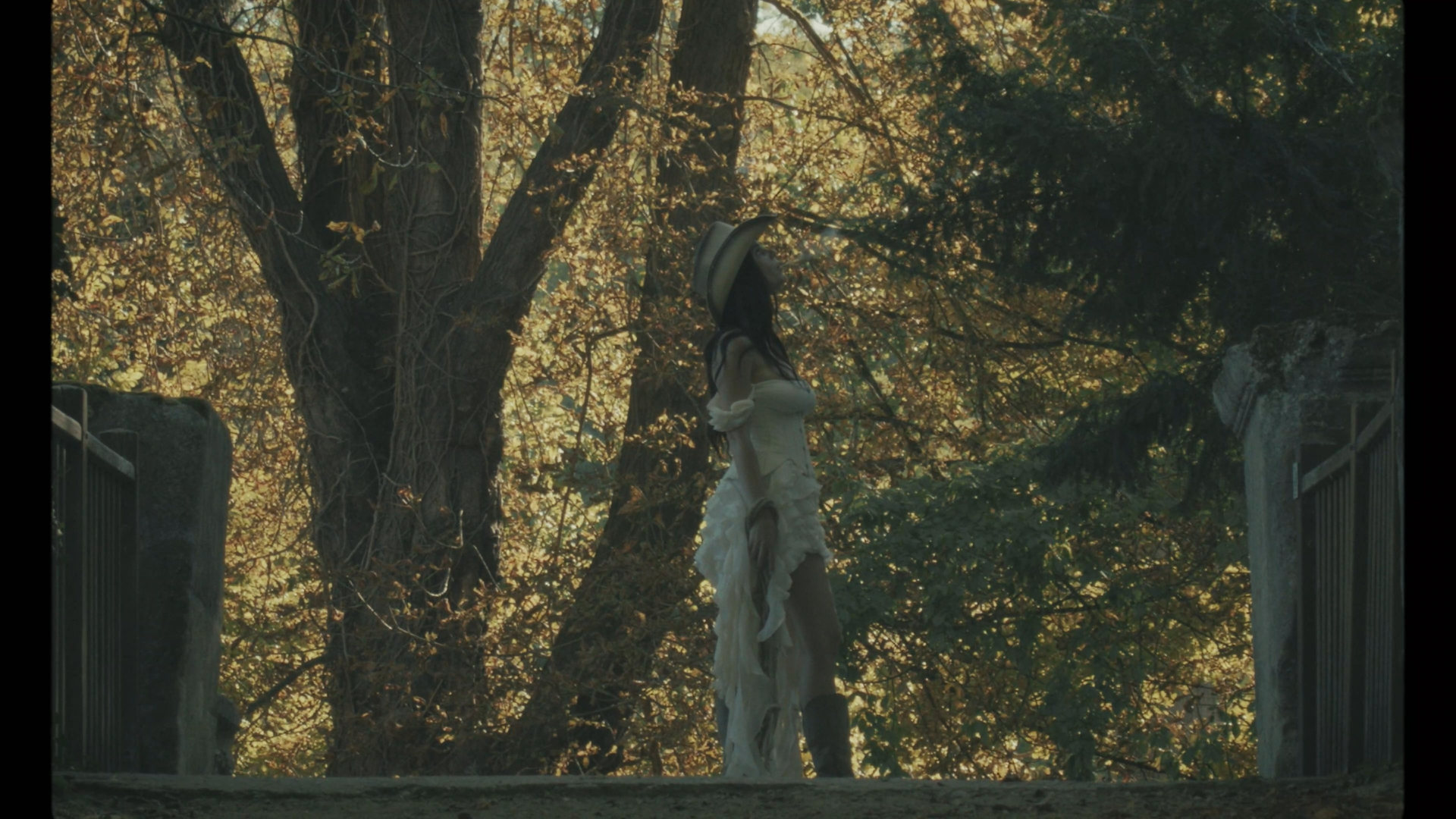 Fashion Film II