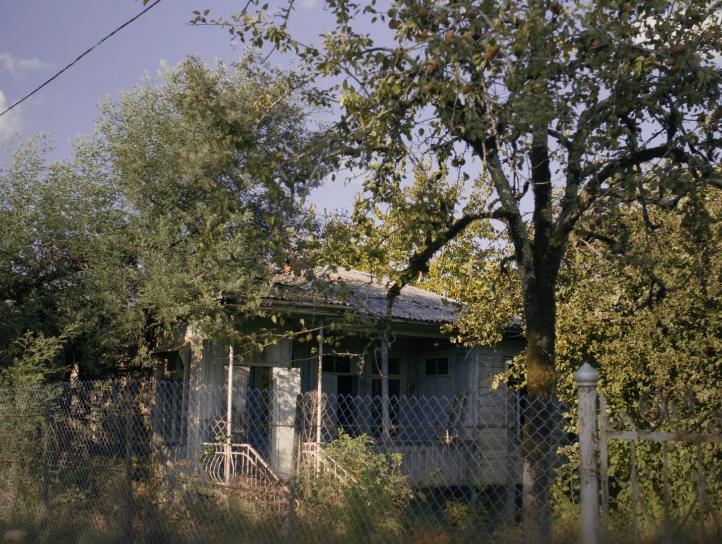 The House of Tengiz